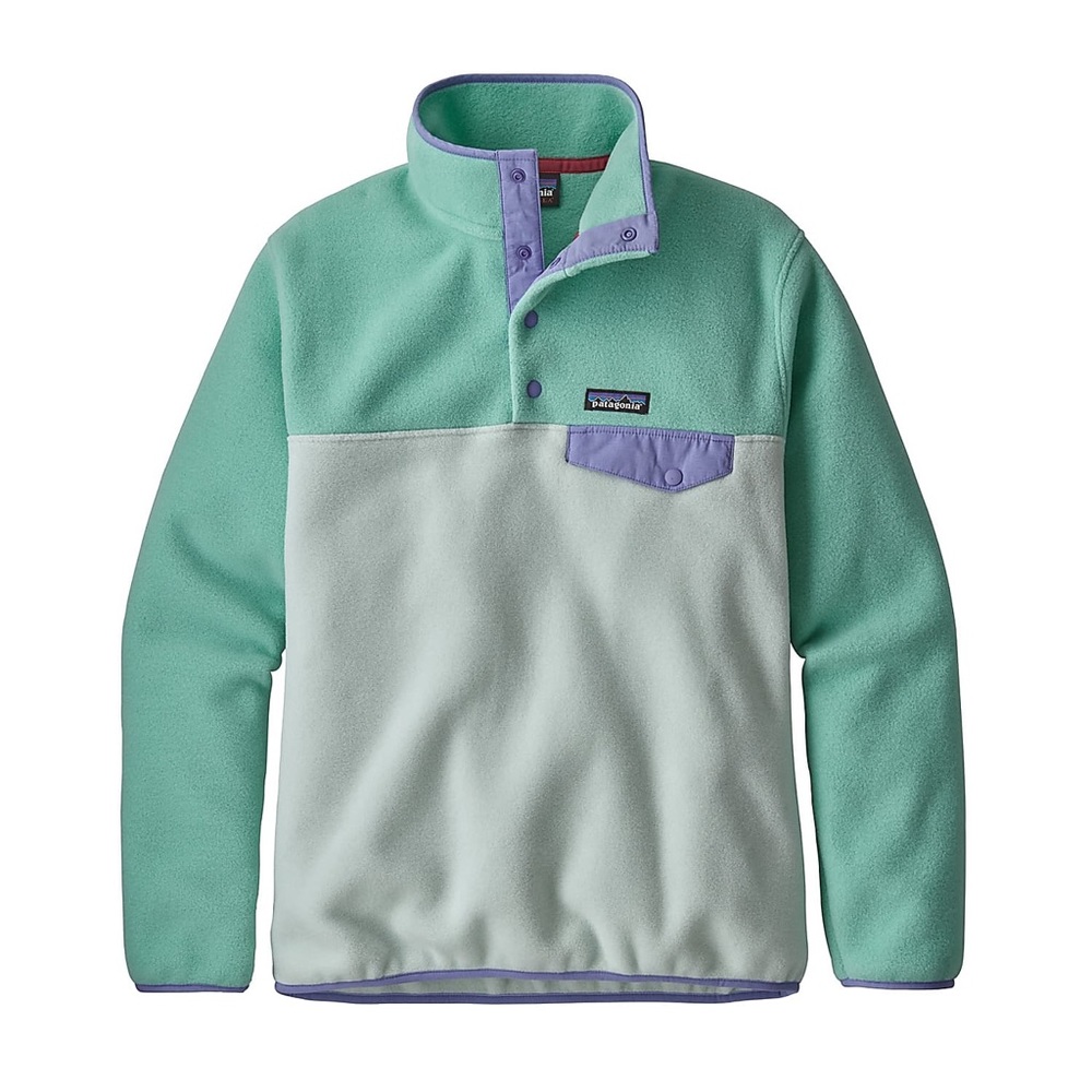 Patagonia Lightweight Synchilla pullover
